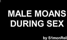 Samling av mannlige stønn: En samling av homofile lydeffekter